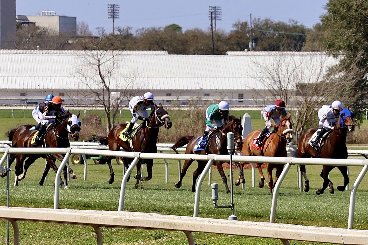 Paul Murphy tweet media