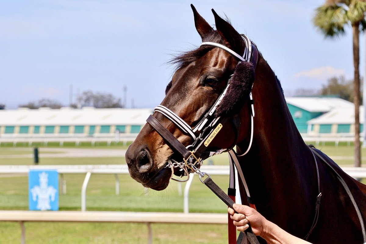 Paul Murphy tweet media