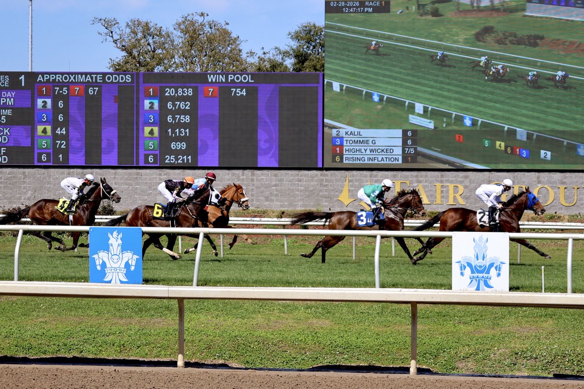 Paul Murphy tweet media