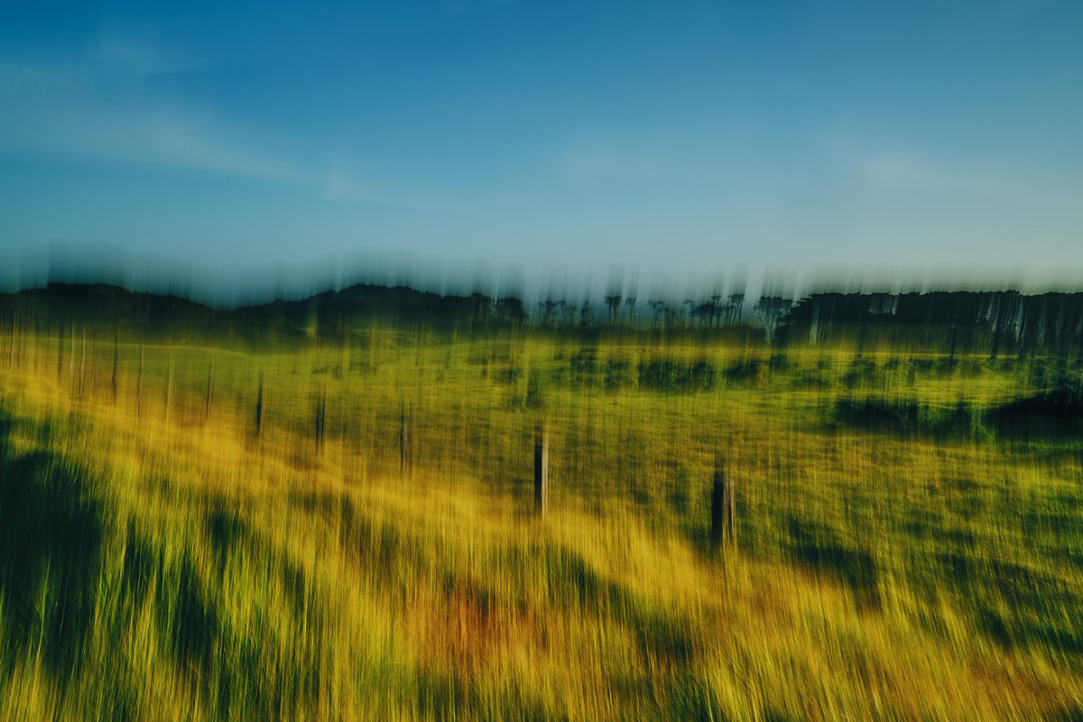 ryan struck tweet media