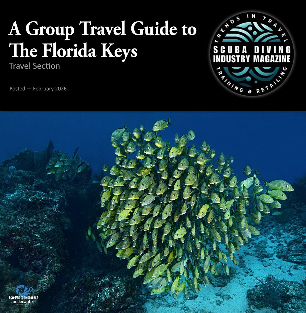 EPEDivers's tweet photo. Eco-Photo Explorers latest published article can be viewed in Scuba Diving Industry Magazine. >> A Group Travel Guide to The Florida Keys

Read the article at:
https://t.co/ovBAFgPSUt
https://t.co/K698bzJACQ

Subscribe to Scuba Diving Industry Magazine at:
https://t.co/PPdivDnLyT https://t.co/1lWmoXpcR6
