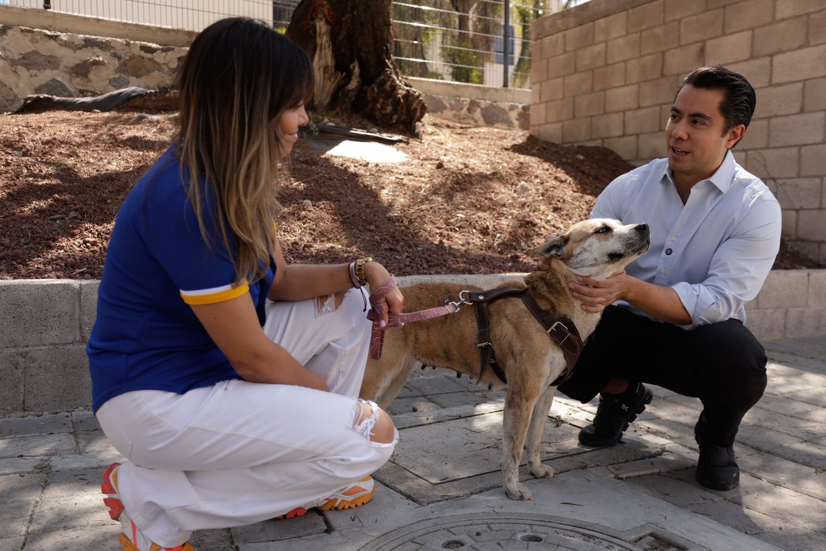 El cuidado y respeto a los animales es una responsabilidad compartida.

En las Ferias de Bienestar Animal acercamos servicios como adopción responsable, esterilización, vacunación y microchip, para proteger a los animales y fortalecer la salud y la convivencia en nuestra ciudad.