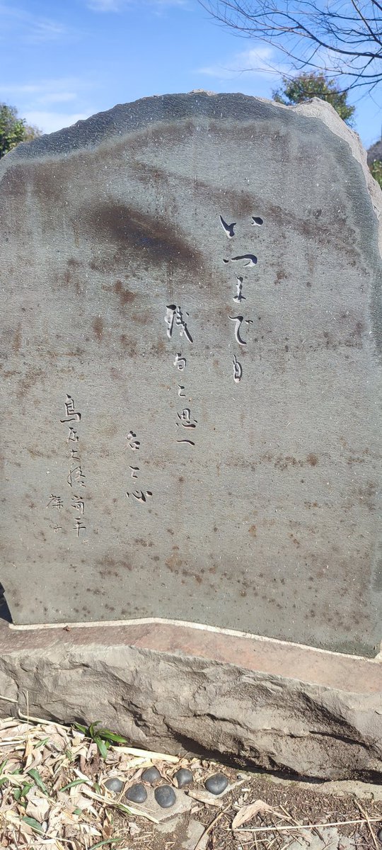 青山霊園に江戸時代の京都上賀茂神社の神職家系の鳥居大路家墓所がある。