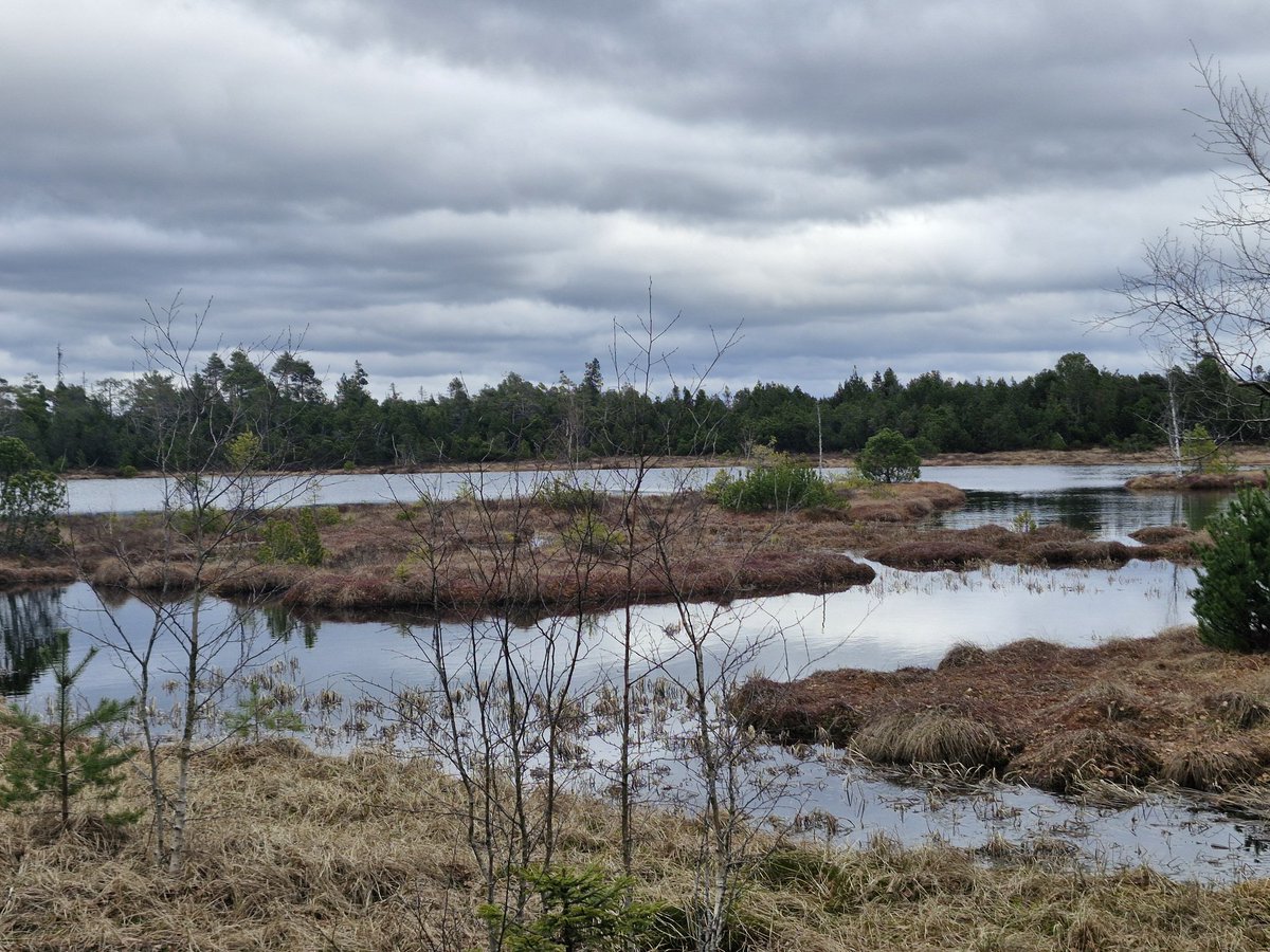 Black Forest Cruises gibt es noch.
Wir befinden uns aktuell noch in der Winterpause, um neue Linien zu erkunden. 🥳
Bis bald wieder an Bord der Bekloppten. 🫡