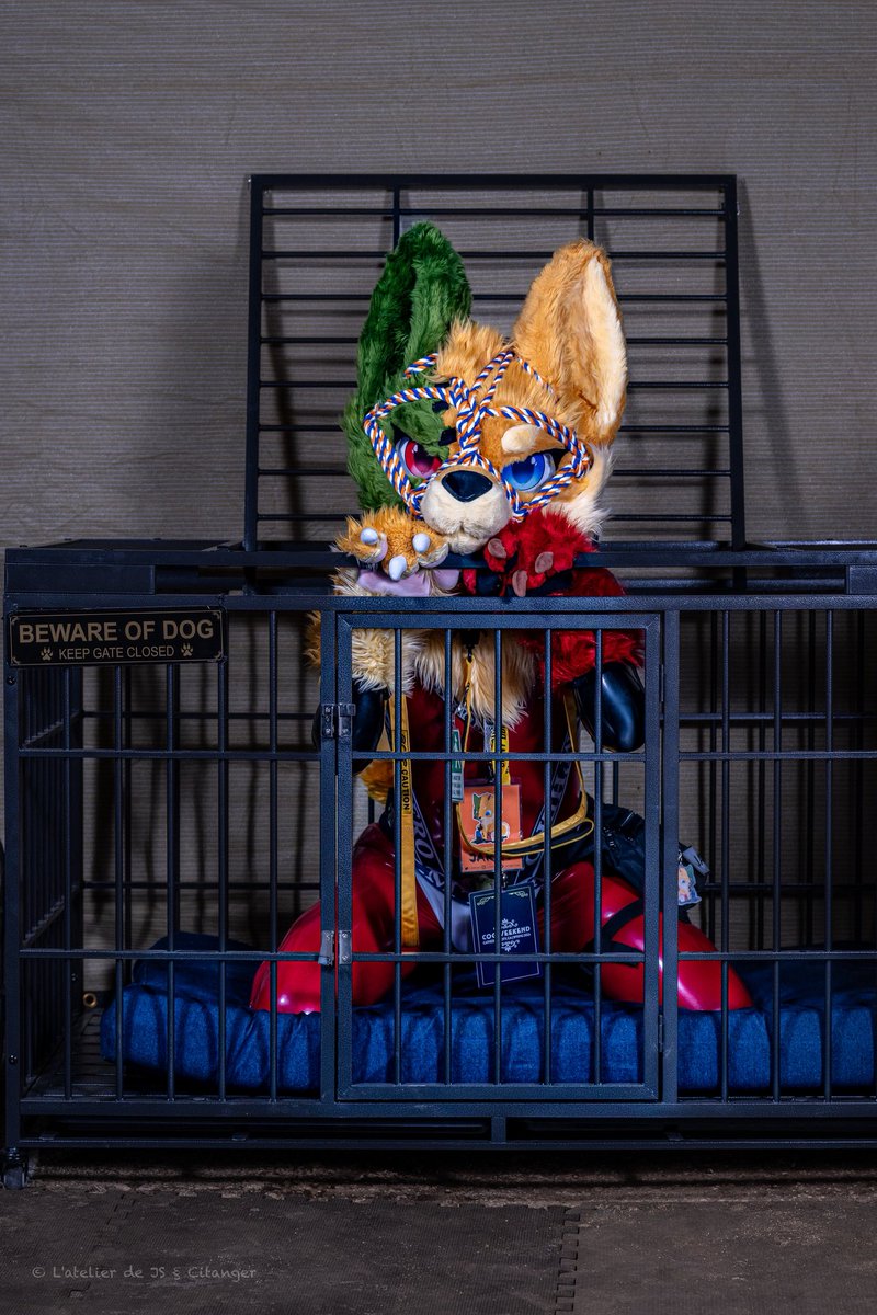 Jarry, good boy ver. 📸 @ FE 🔜 LVFC/RopeCraft/AC tweet media