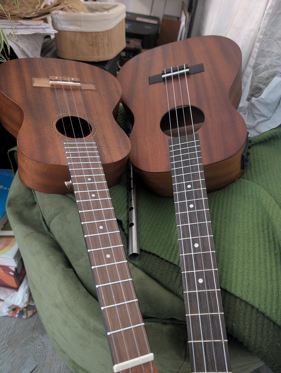 Rebecca Leek tweet media