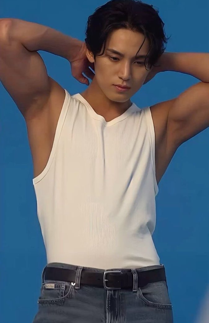 mingyu pits (@mingyupits) on Twitter photo 