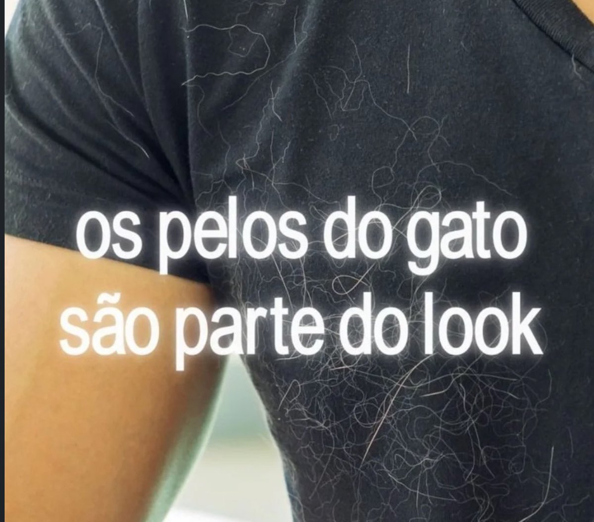 Shitpost só que de verdade (@shitpostverdade) on Twitter photo 