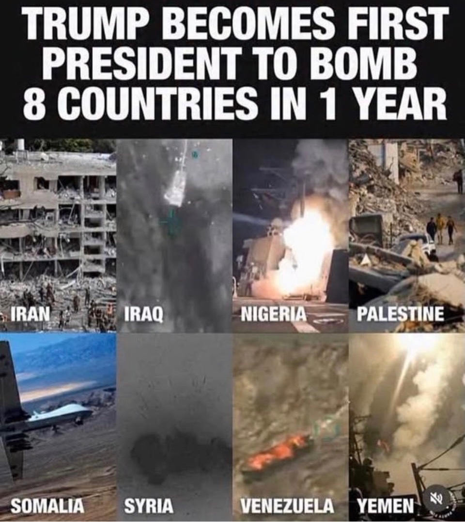 Eldarose tweet media