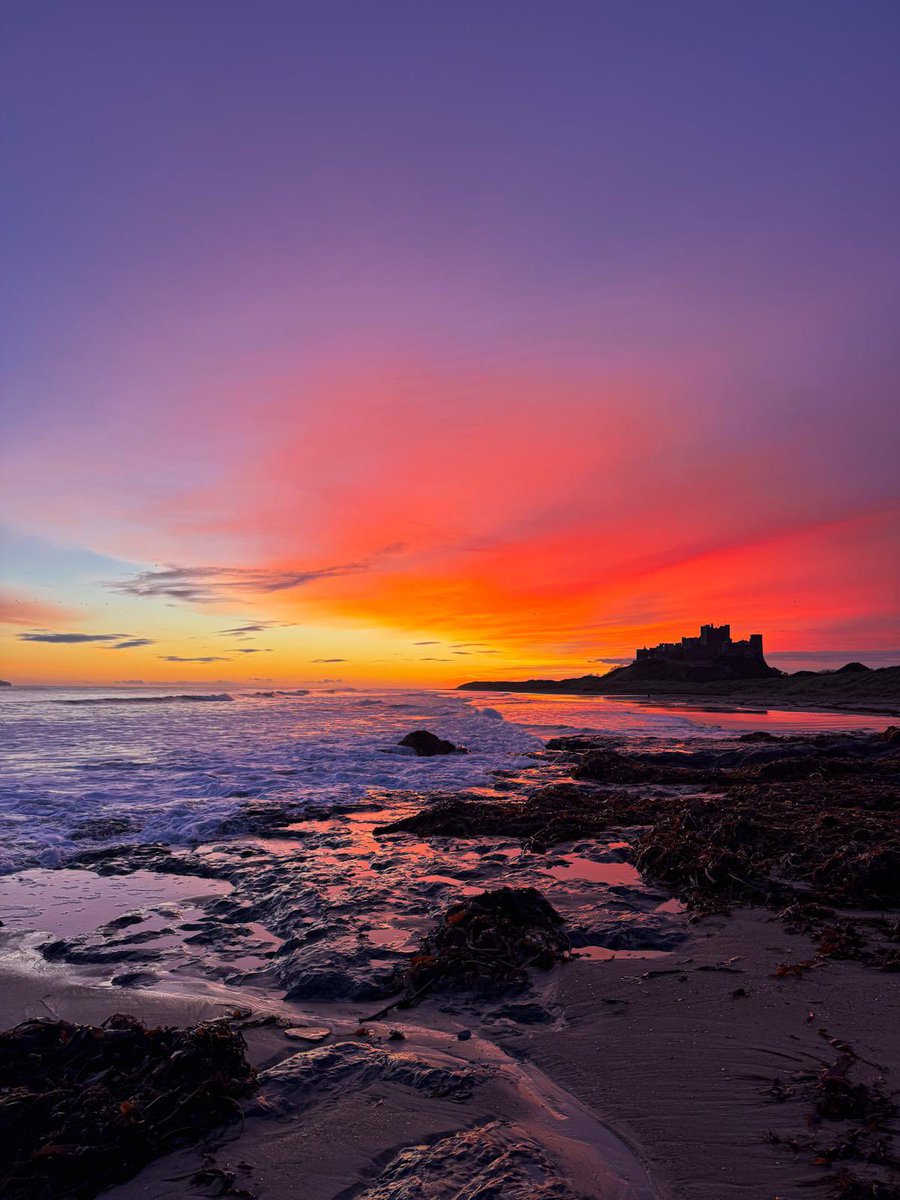 Richard Mead tweet media