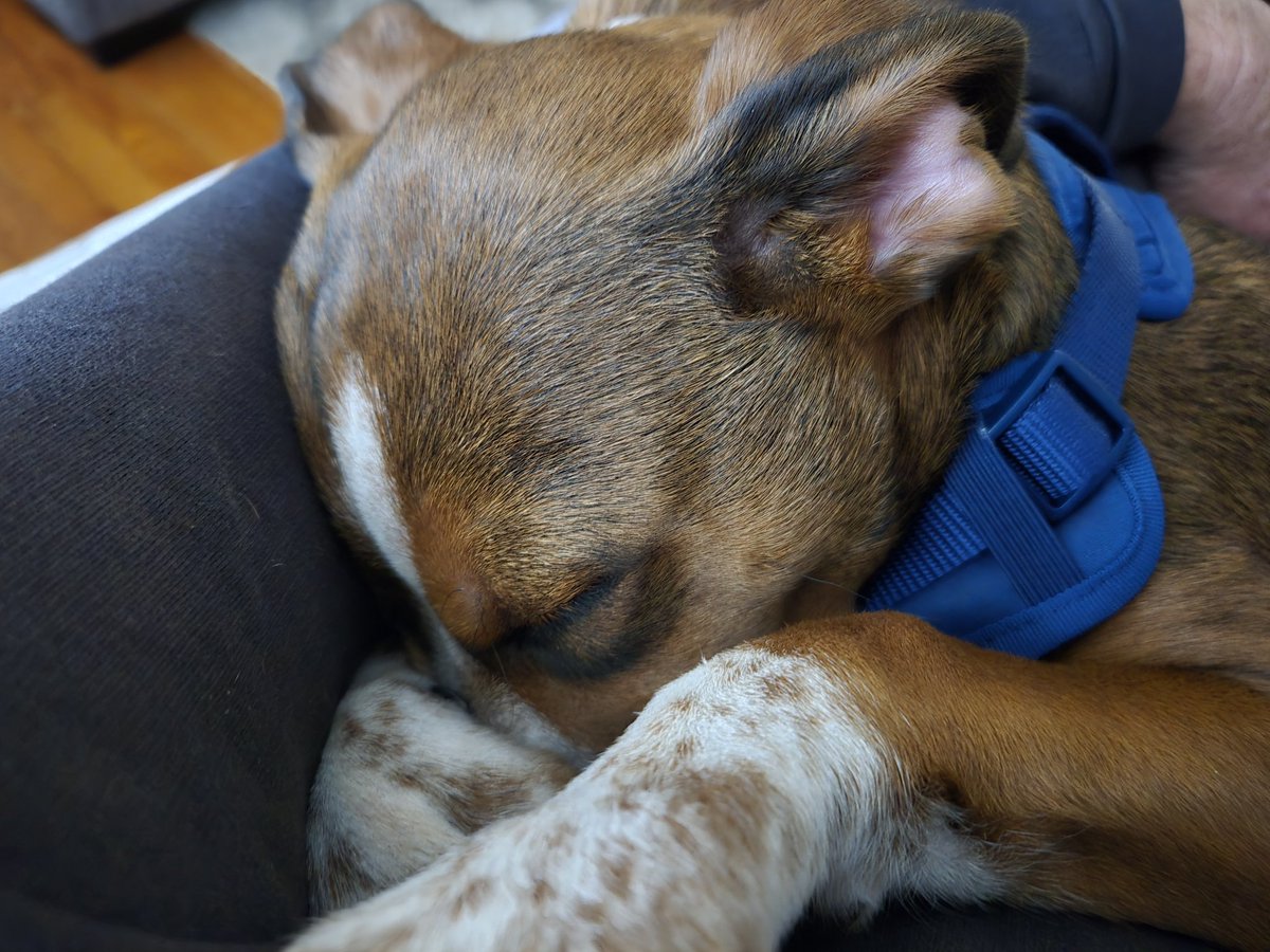 Michael Addis tweet media