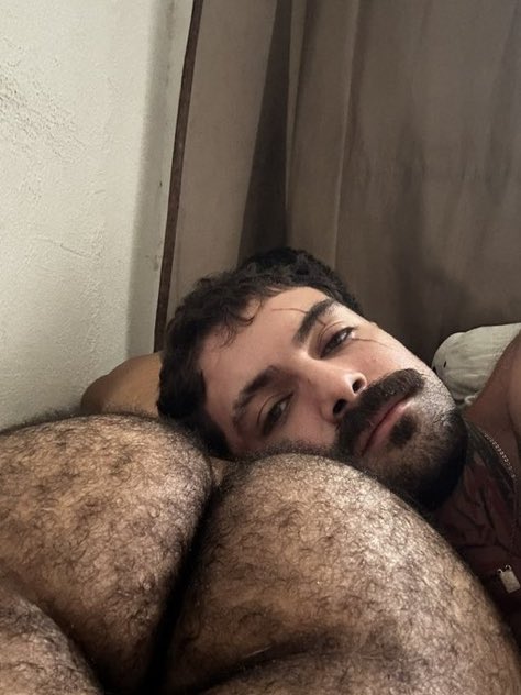 Culos Peludos 🍑 tweet media