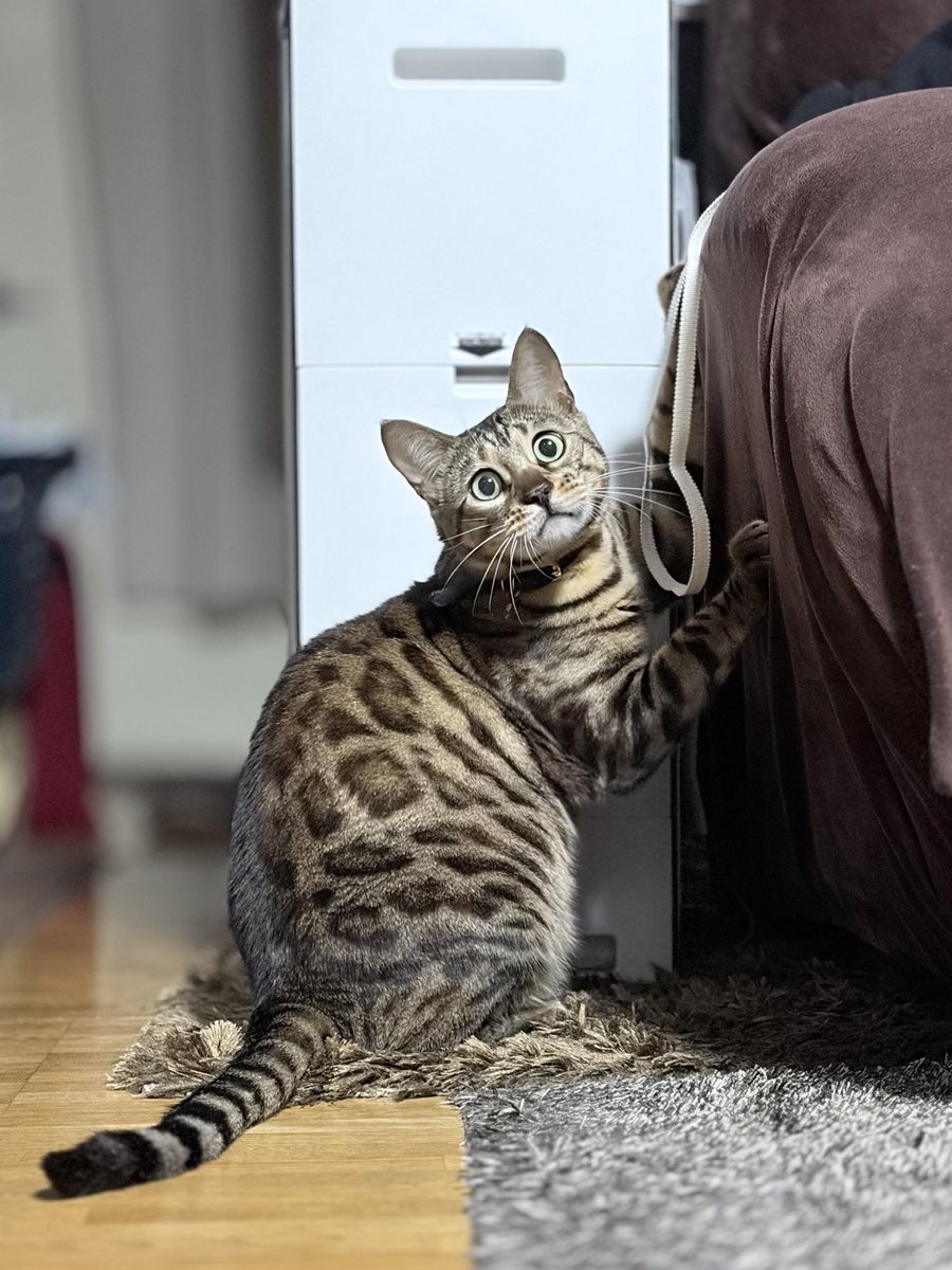 可愛いだろ✌️❤️