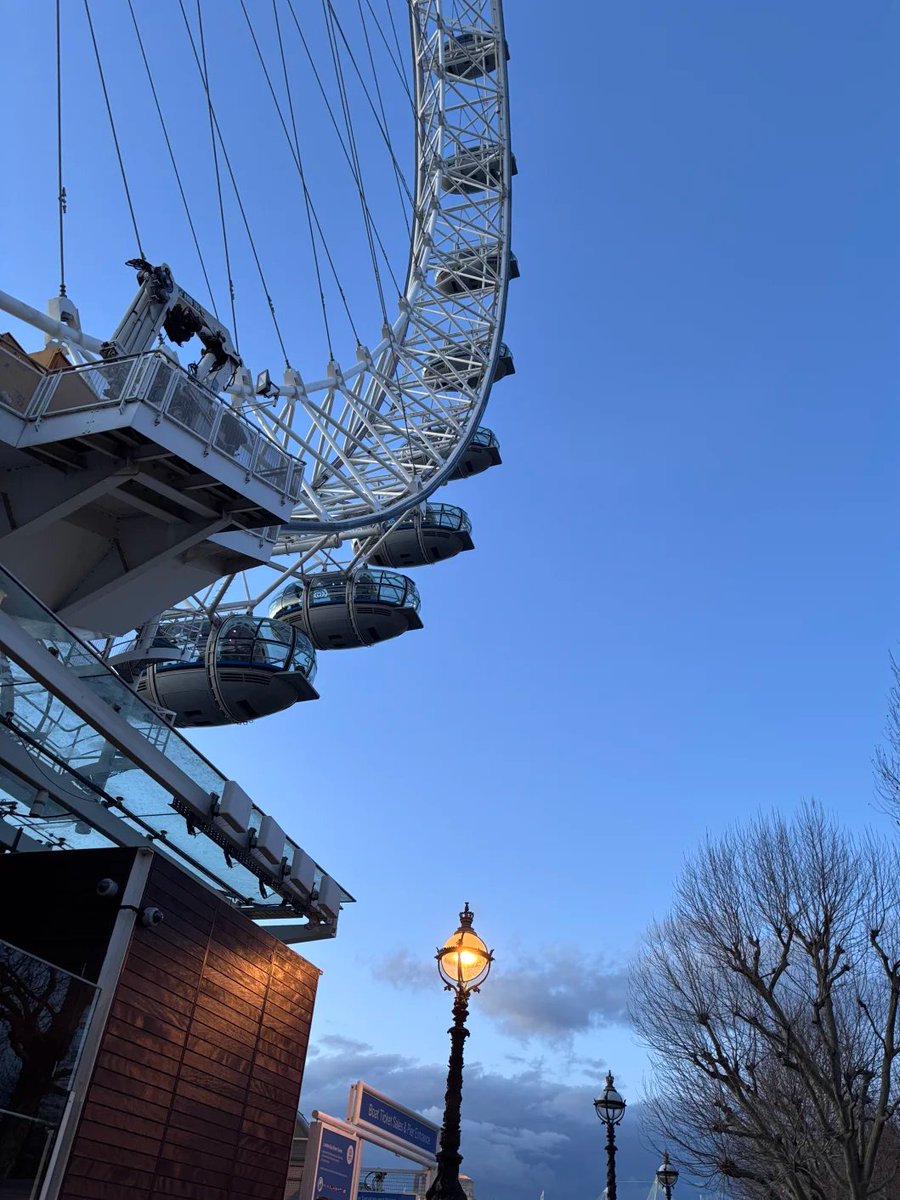 AliceFyvy1984's tweet image. London Eye