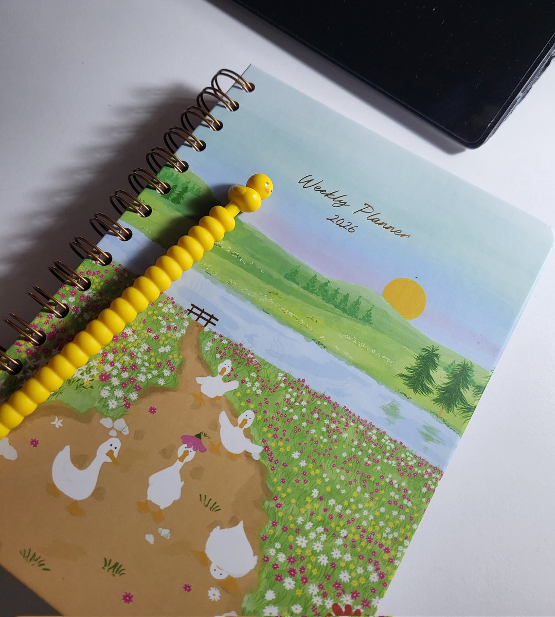 Şu an fark ettim benim bu bebek için bir sürü stickra ihtiyacım varr ve birde renkli kalemle yazmak istiyorum ama bu anksiyetemi yenemiycem sanırım yazım içime sinmezse kafayı yerim