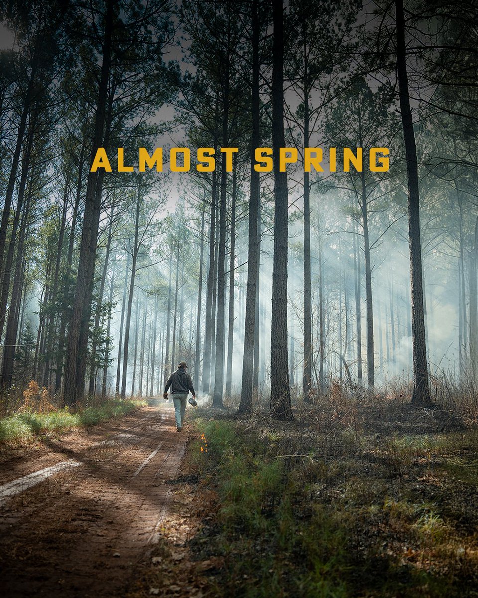 Realtree tweet media