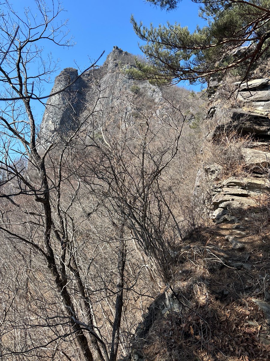 funa_yamap's tweet photo. 関東百名山の子持山
獅子岩はとてもビビりました😅 https://t.co/DdN9hh0vL9