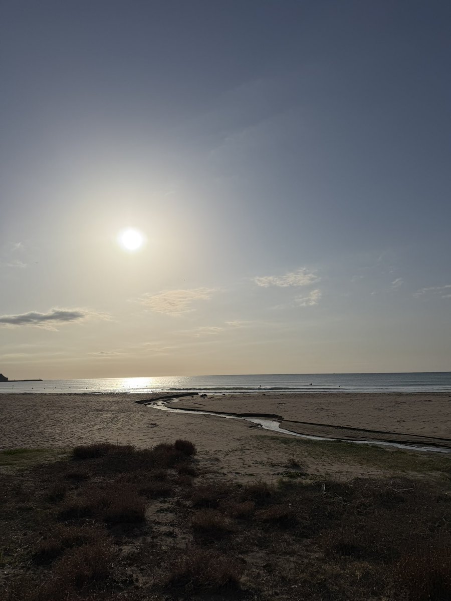 T社長の独り言 tweet media