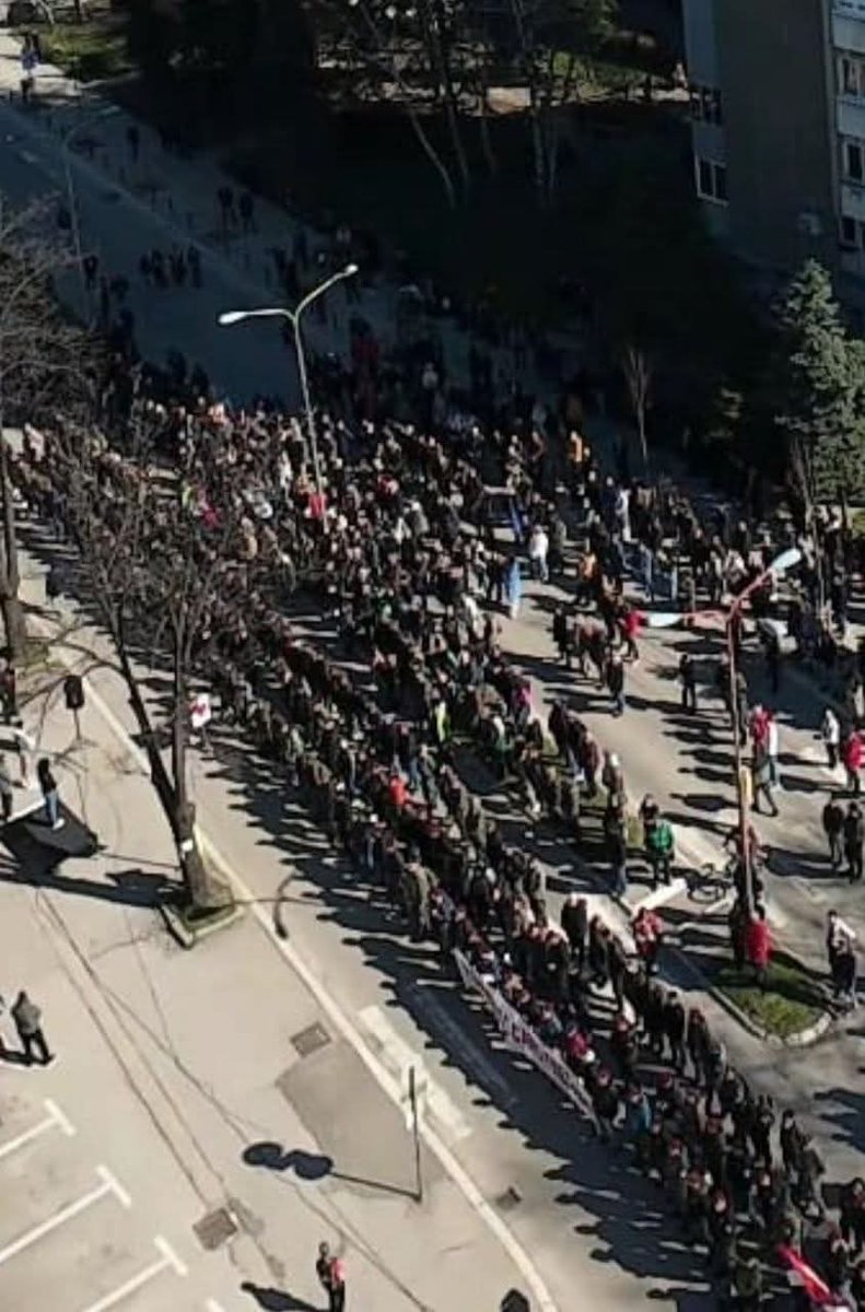 Ivan Matovic tweet media