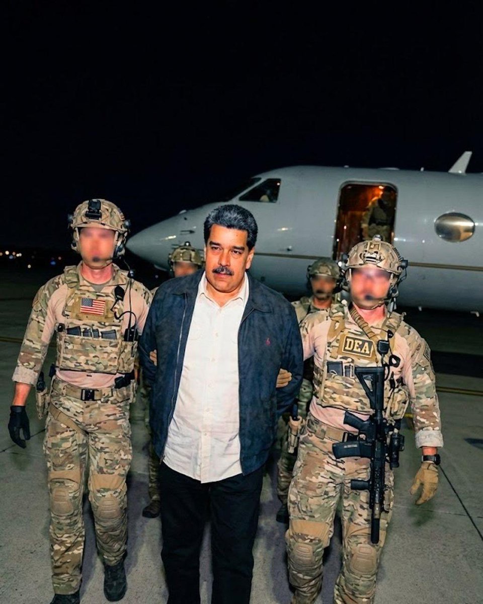 Bull Theory tweet media