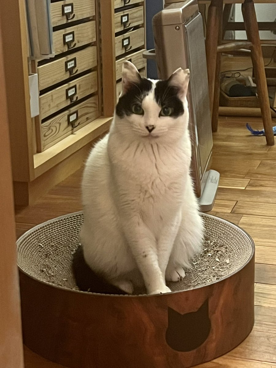 「人間、わかっていますか？
もう３月なのですよ」