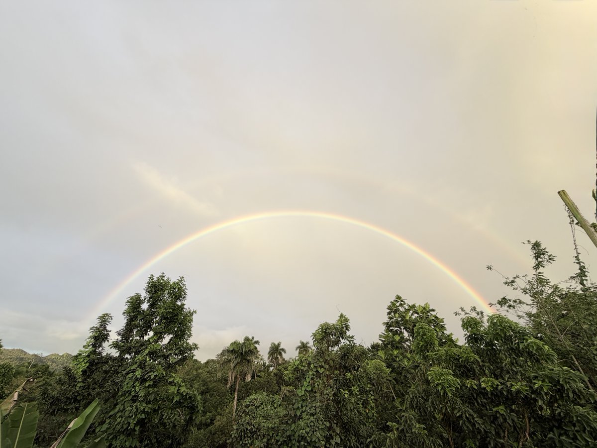 ⁦<a href="/adamonzon/">Ada Monzón</a>⁩ ⁦<a href="/CycloforumsPR/">CycloforumsPR</a>⁩ doble rainbow 🌈 desde Corozal