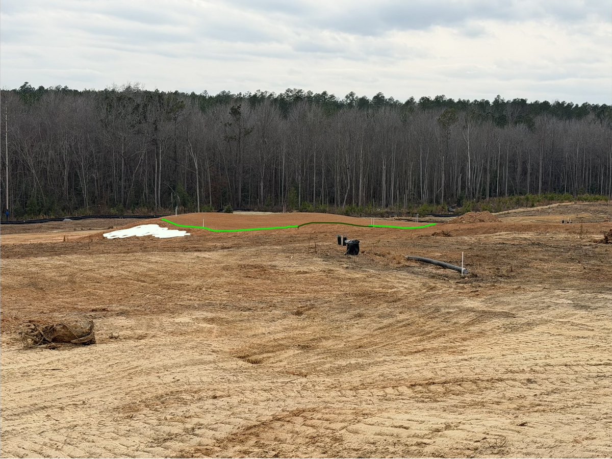 CandyrootLodge tweet media