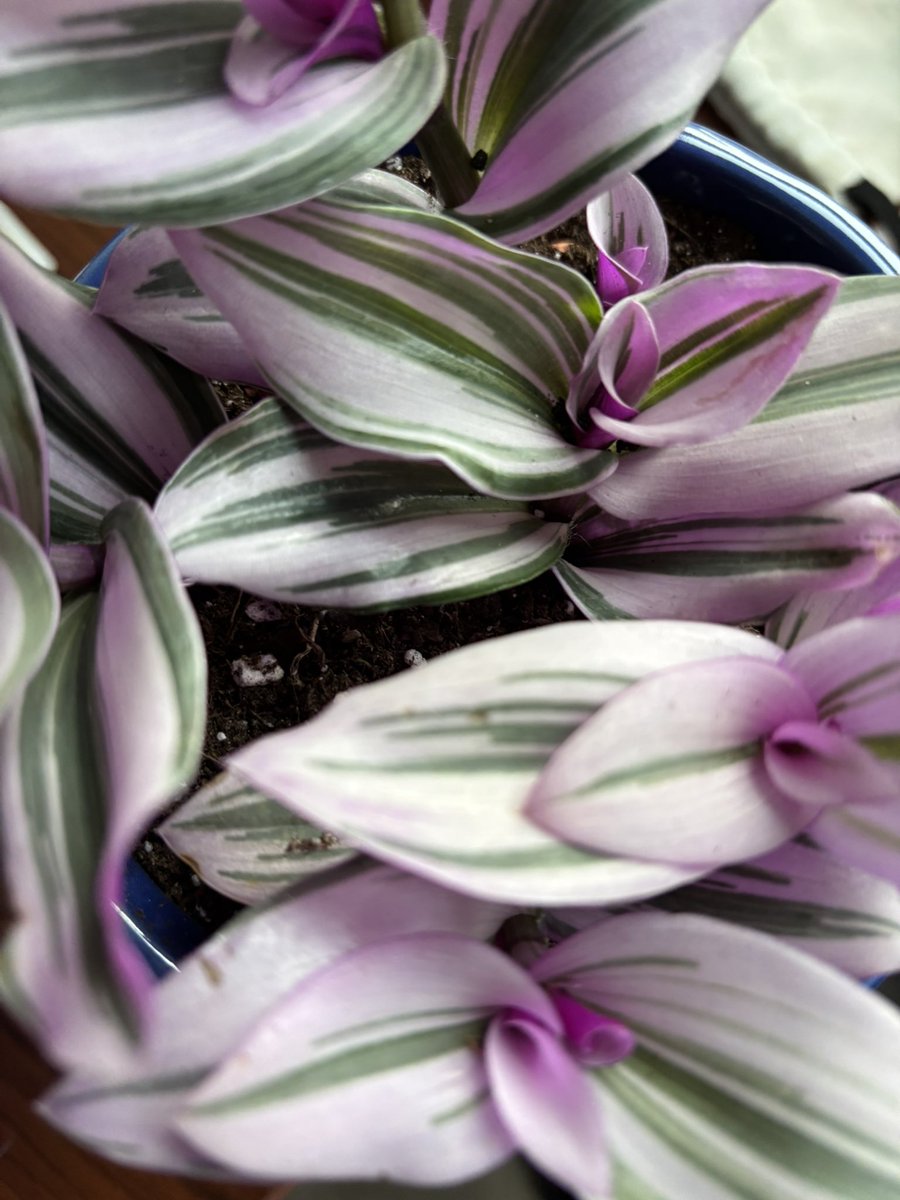 Mavy (@iovedout) on Twitter photo 