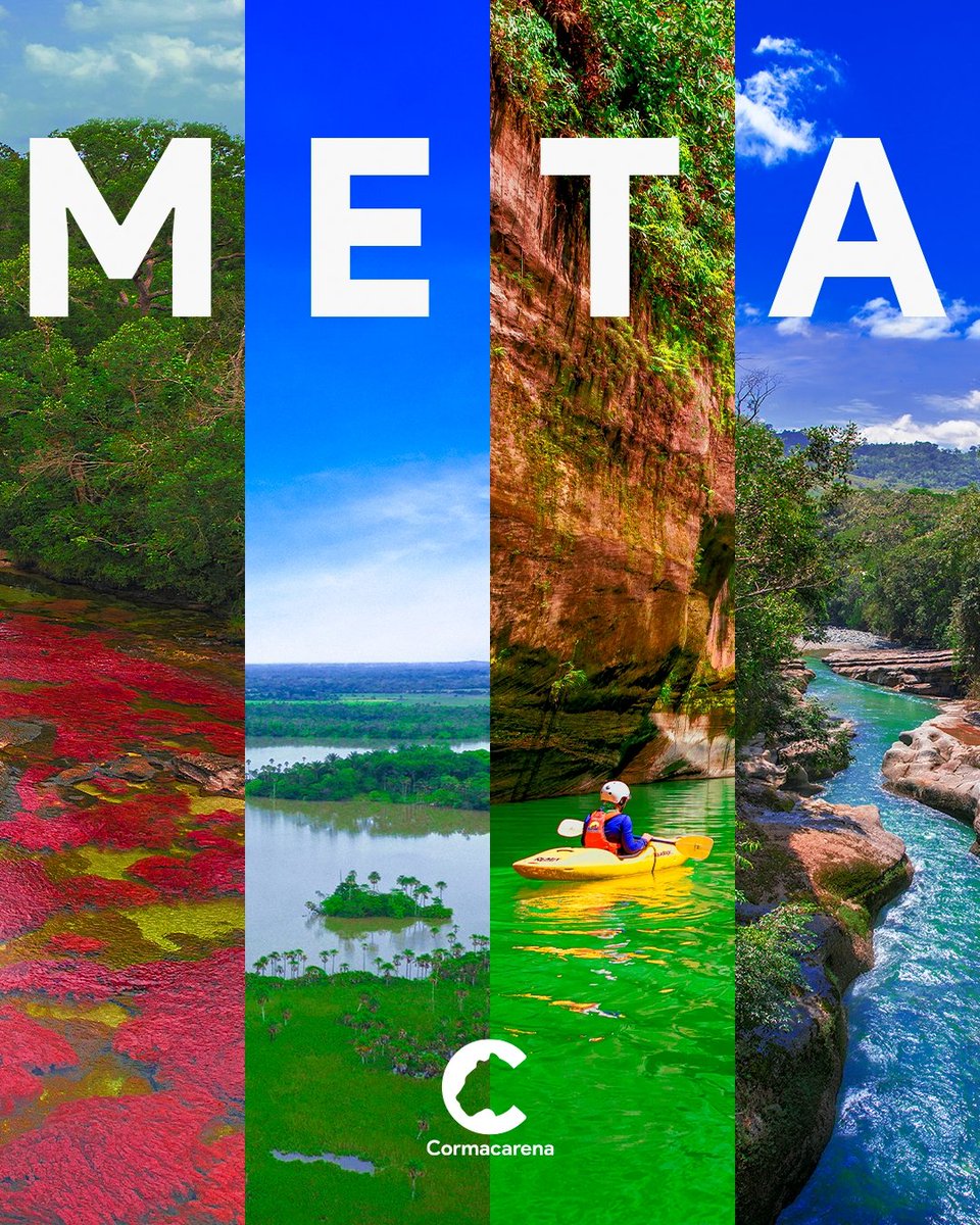 Cormacarena tweet media