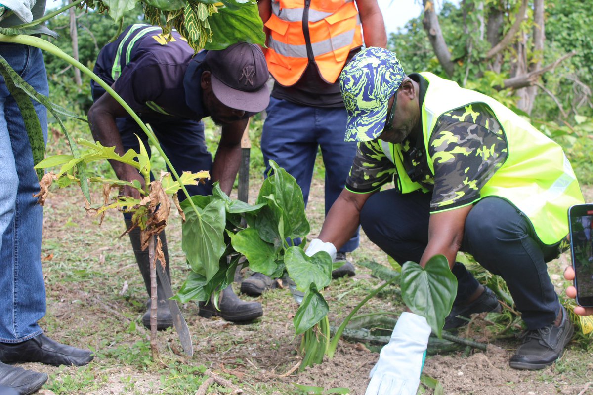 Local Gov't Ja tweet media