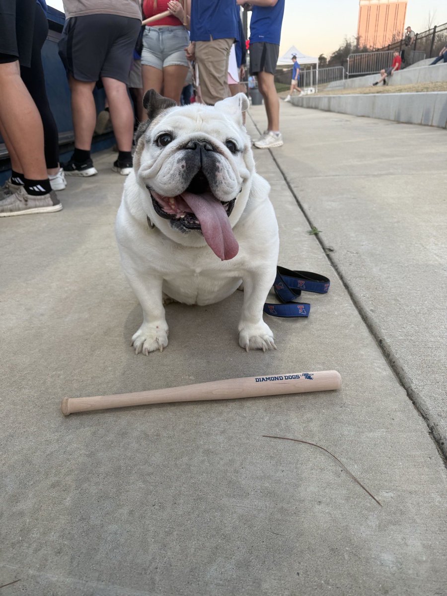 TechXXII tweet media