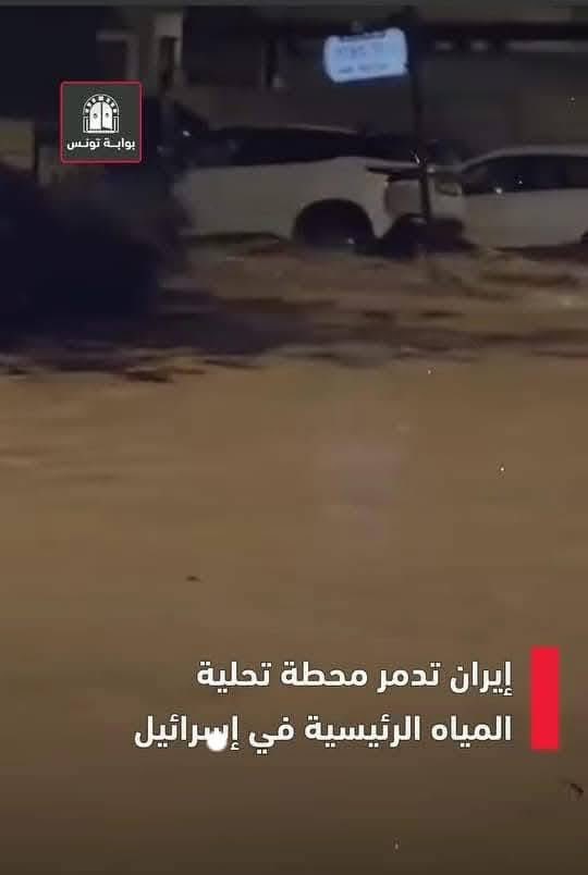 Hany Helaly (@hanyhelaly1) on Twitter photo 