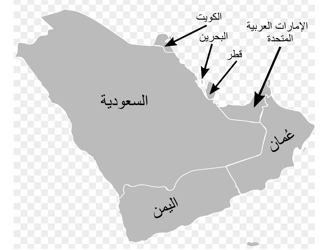 mutasem momani tweet media