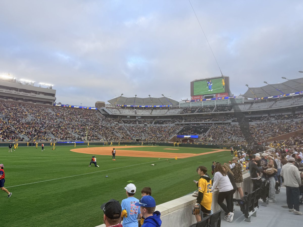 Shannon Young tweet media