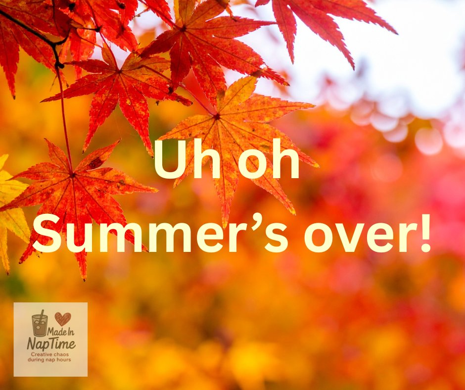 Sandy16409931's tweet photo. Morning everyone!
I'm trying to stay positive today, but the last day of summer was yesterday for us in Australia, which means winter is just around the corner.
#autumnvibes #coldweather #summersover https://t.co/fcPOIE9adS