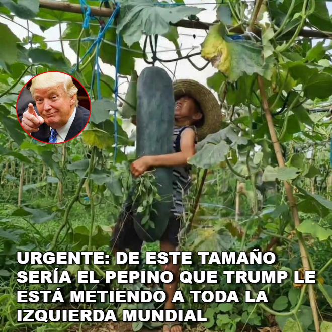 Chrys (@leonlibertario_) on Twitter photo 