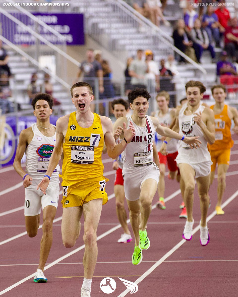 DyeStat tweet media