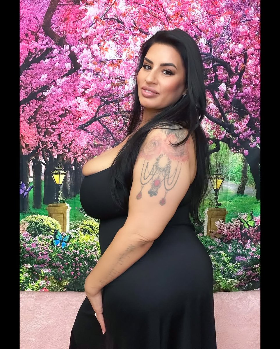 Sofia Rose tweet media