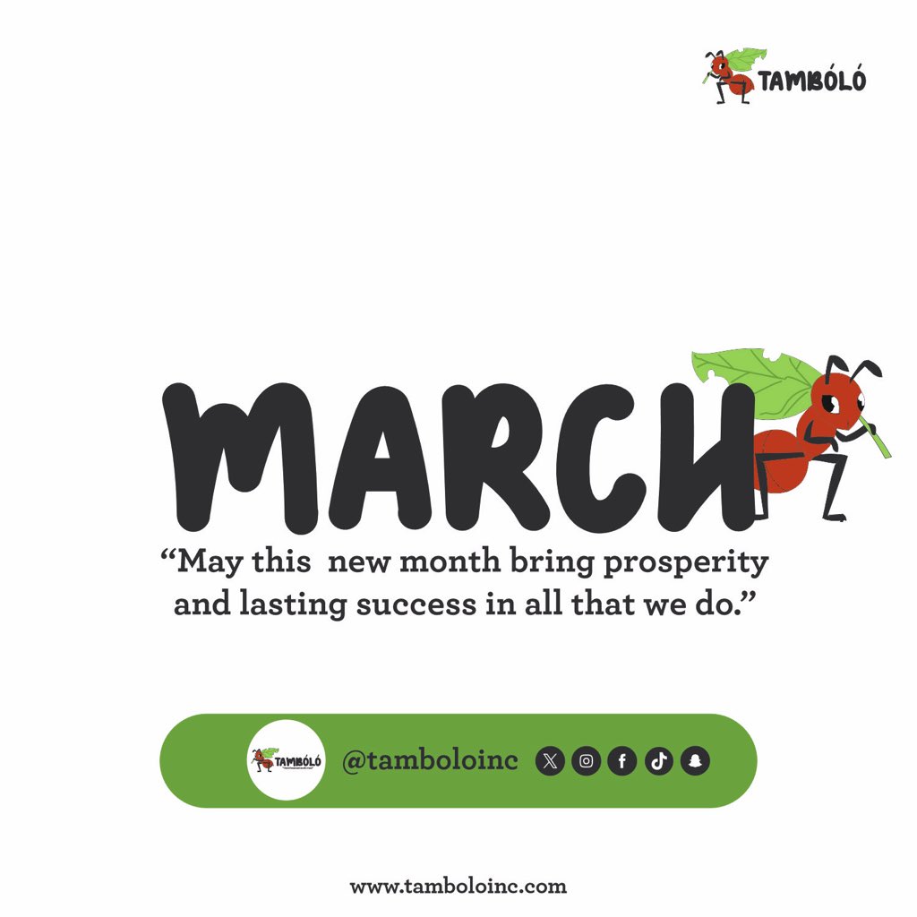 Tamboloinc's tweet photo. Marzo✨🦥 https://t.co/KOX5zkAo0A