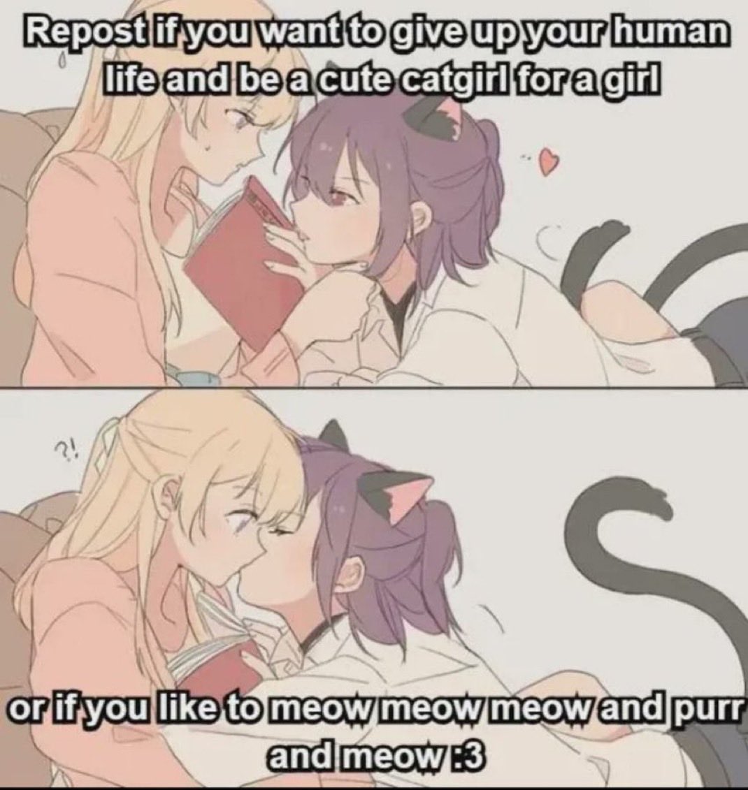 Jvne 🏳️‍⚧️ tweet media