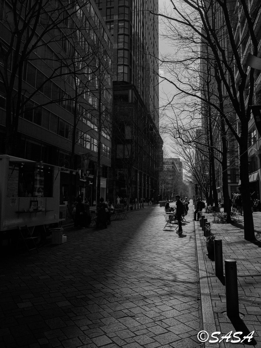 境界線📸 Camera:Z6III Lens:NIKKOR Z 26mm f/2.8