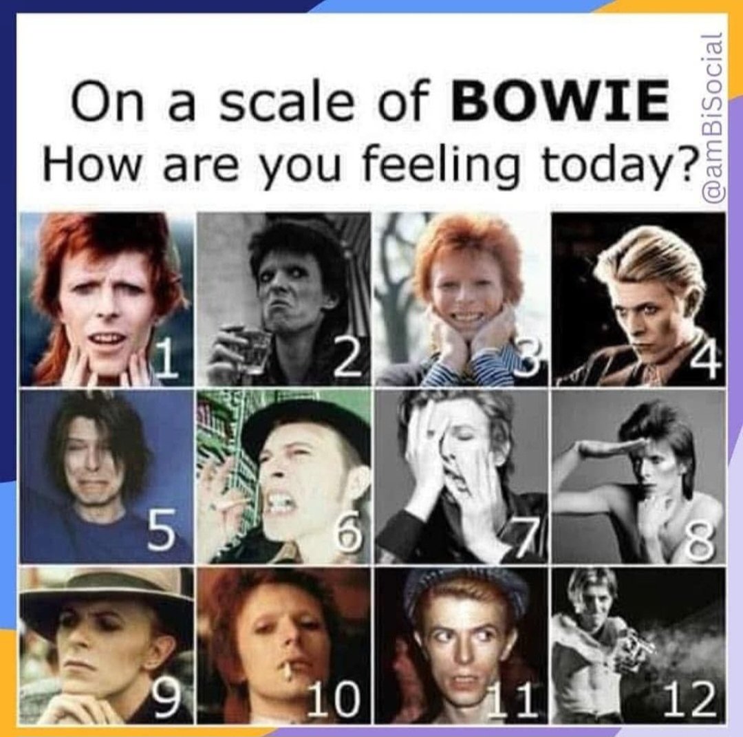 Monica 💙🌻🏳️‍🌈 tweet media