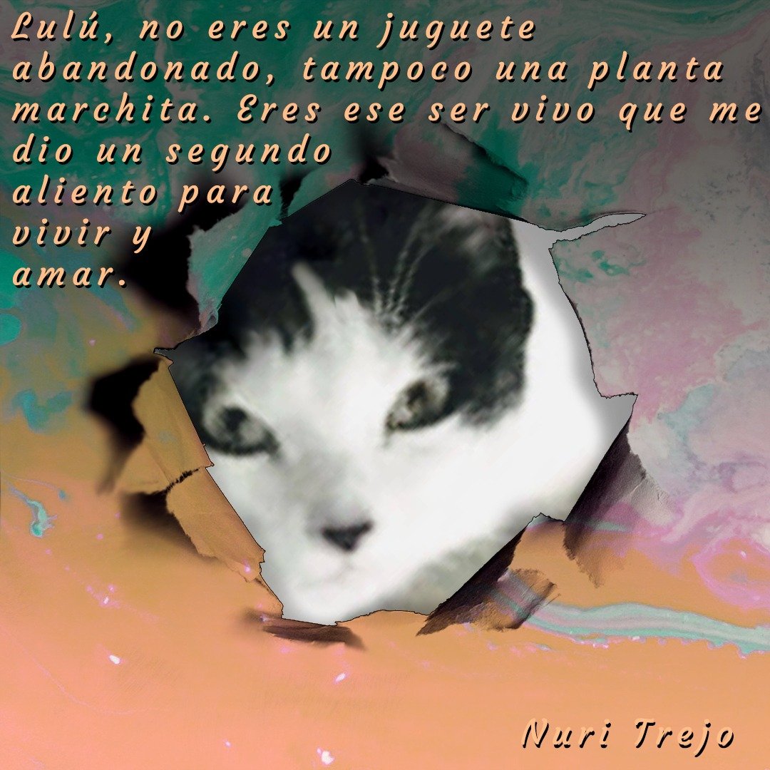 #28Feb.#LaHoraX de #LuluSomosTodos. La distancia no será mi excusa, porque no puedes ser parte de lo que tuve que dejar y soltar para guardarlo en el recuerdo. Mi joya más preciada, te queremos con nosotros. #LuluEsElMilagro. #Seguimos!