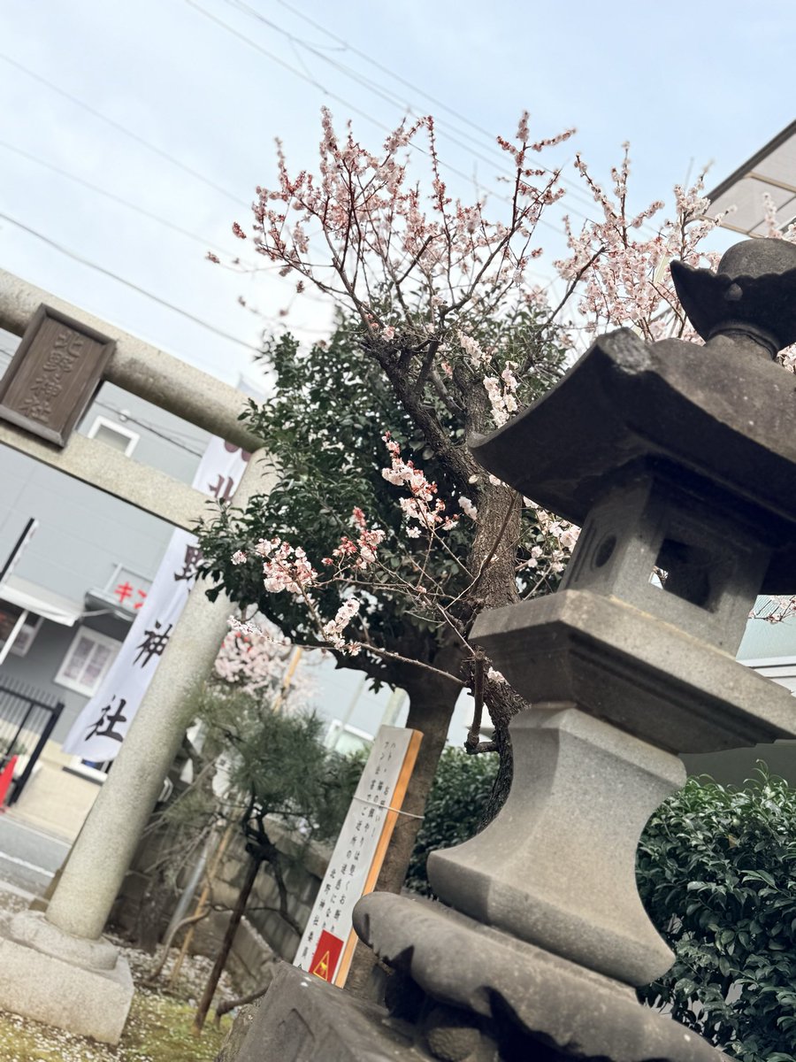 gitagita422's tweet photo. #愛憐記 
切なくてハラハラする中、
#西条美咲さん
#ROLLYさん
 かわいくて笑わせてくれるキュン🫰な舞台だったと母。
皆さんの所作も美しく、台詞の言い回しもさすがと✨
見た事ないギターも出てくるって‼️
オススメです🎵
今日が千秋楽ぜひ👏
（部活の練習で行けない、悔しい私🙇‍♀️） https://t.co/QK9CHBhGmo