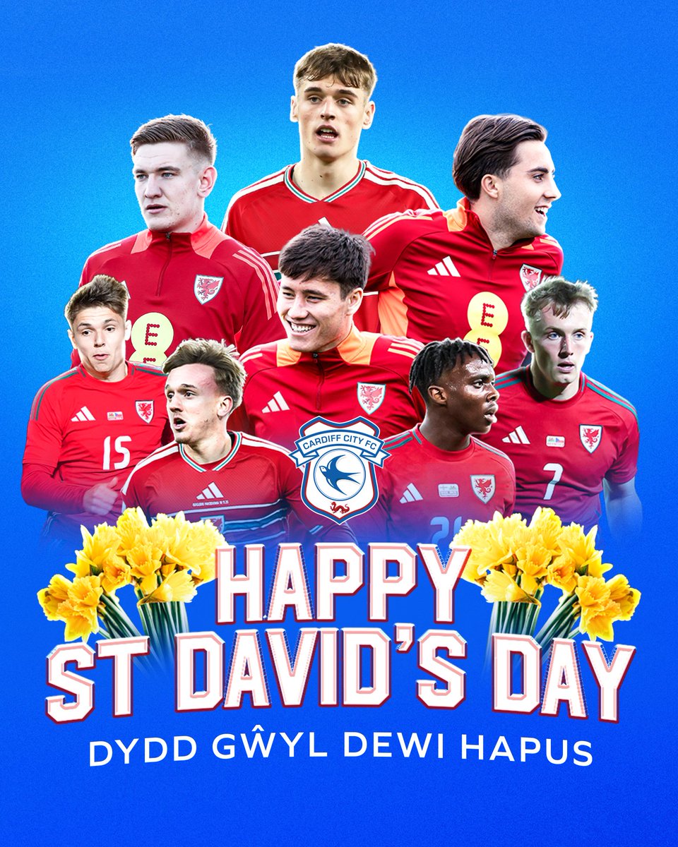 Dydd Gŵyl Dewi Hapus! 🏴󠁧󠁢󠁷󠁬󠁳󠁿

Happy St. David's Day, #Bluebirds! 💙

#CityAsOne