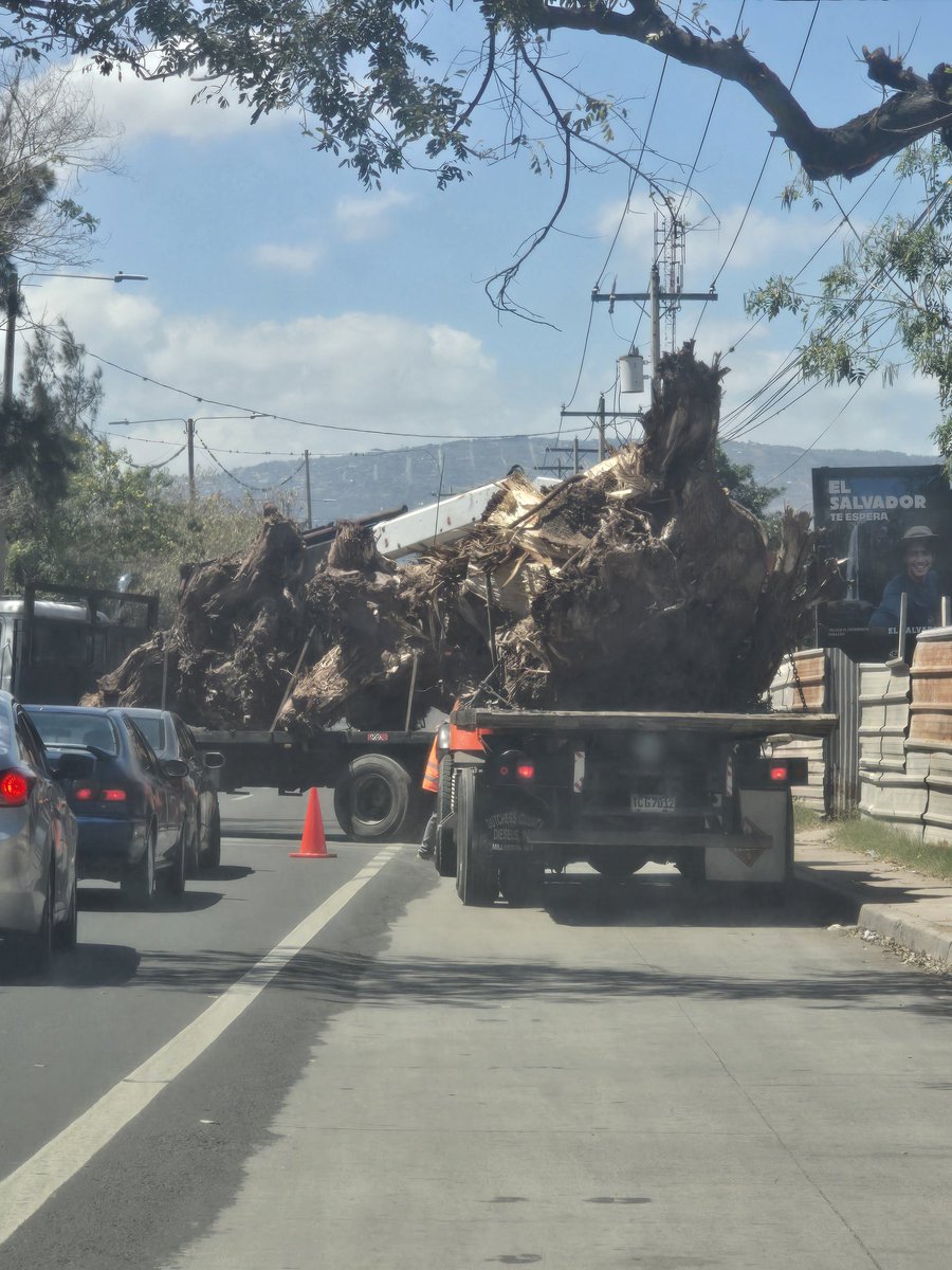 Lucía Hernández tweet media