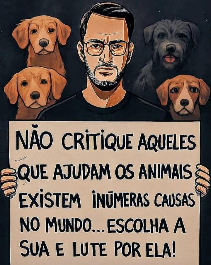 Thais 🇧🇷☘️💞 tweet media