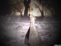 Carol Roberts tweet media