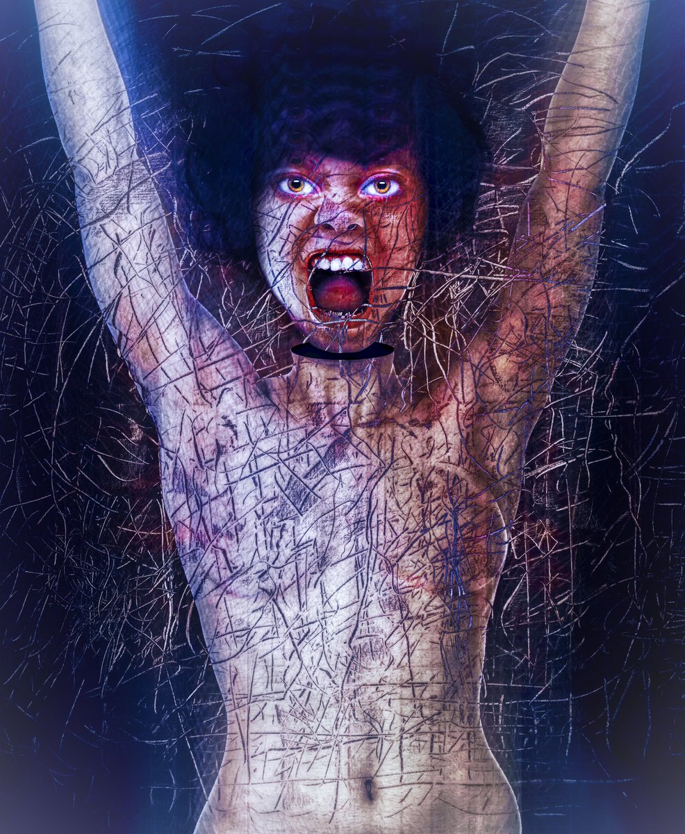 Bruce N. tweet media