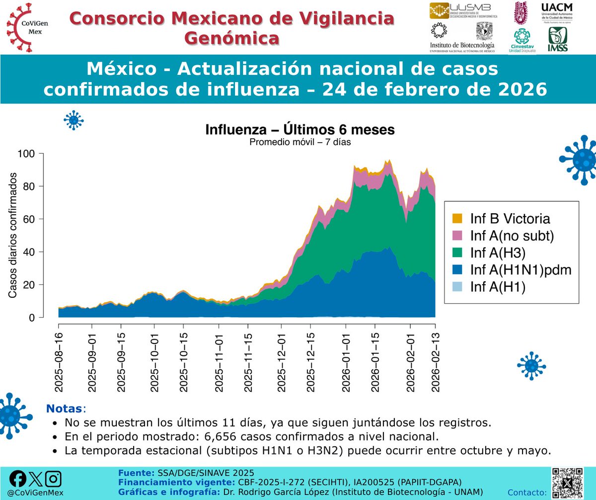 Consorcio Mexicano de Vigilancia Genómica tweet media